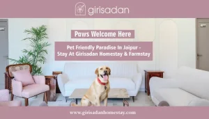 Pet Friendly Paradise in Jaipur- Stay at Girisadan