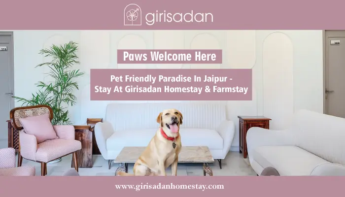 Pet Friendly Paradise in Jaipur- Stay at Girisadan