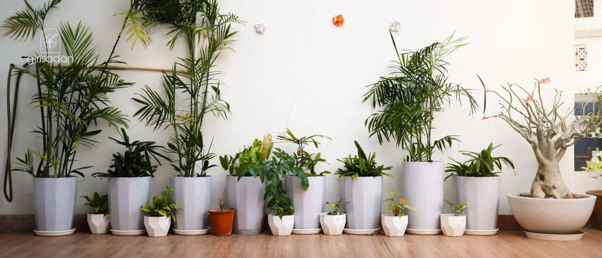 Girisadan Homestay new header3