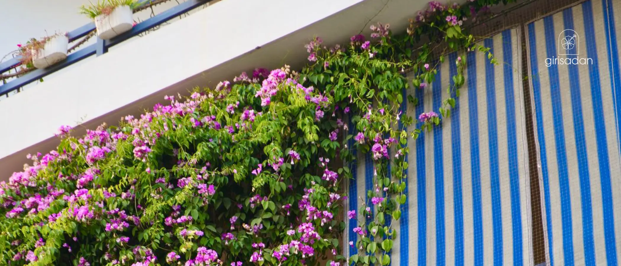 Girisadan Homestay new header6