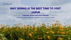 Spring is the Best Time to Visit Jaipur- A Seasonal Travel Guide