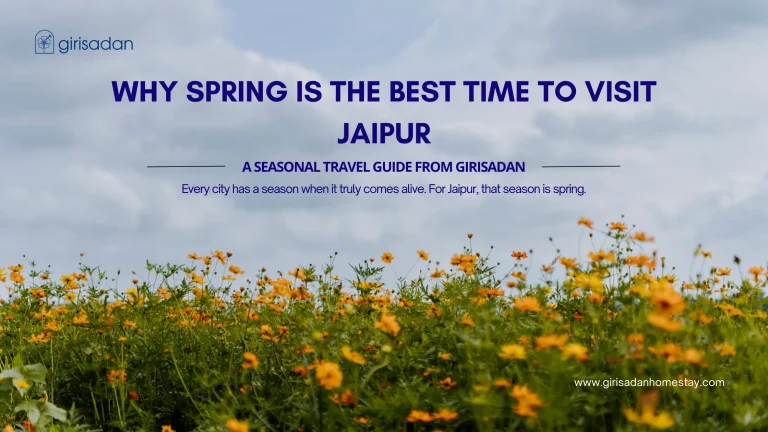 Spring is the Best Time to Visit Jaipur- A Seasonal Travel Guide