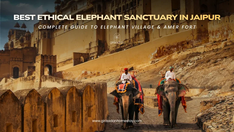 Best Ethical Elephant Sanctuary in Jaipur